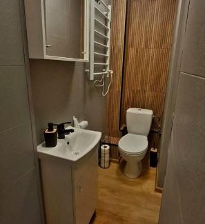 Zagorze Slaskie Apartment | Sowia Dziupla