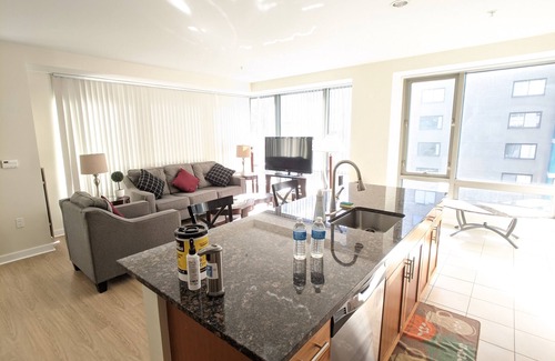 West End Apartment | Spacious 2 Bed/Bath Apt Nearby MGH,MIT,Harvard, Washer/Dryer in suite, Modern Bd