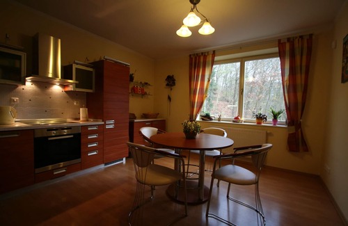 Karlovy Vary Apartment | Spacious 3 bedroom apartment with parking