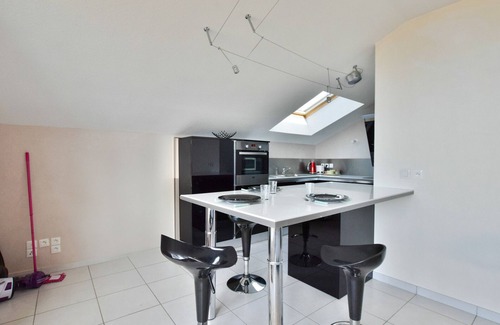 Evian-les-Bains Apartment | Spacious apartment with terrace, pets allowed and parking