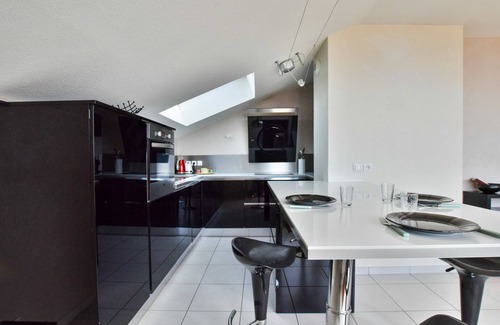 Evian-les-Bains Apartment | Spacious apartment with terrace, pets allowed and parking