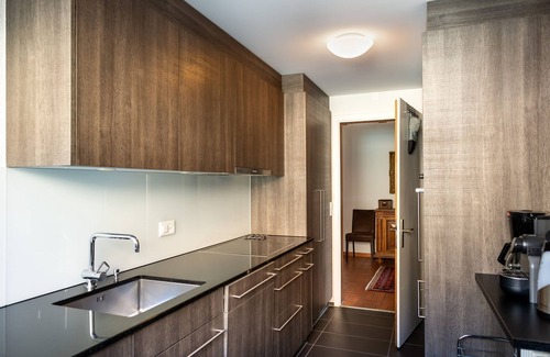 Ruetli Apartment | Spacious apartment in a unique location directly above Lake Lucerne