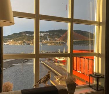 Inderoy Apartment | Spacious apartment with view over the trondheimfjord
