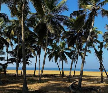 Thiruvananthapuram House | Spacious Beach Side House - Joyce Cottage Kerala