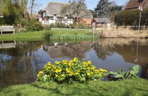 Upton Grey House | Spacious Country House in stunning Hampshire village - sleeps 8