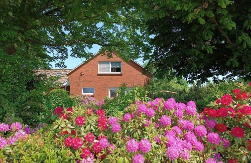 Westerholt House | Spacious, cozy and barrier-free vacation home with dog in a secluded location