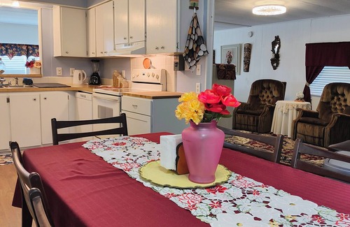 Oldsmar House | Spacious Home near Everything in charming Oldsmar