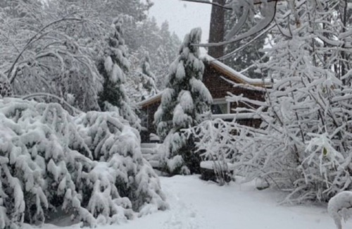 Fern Valley Cabin | Spacious Private 2 Bedrooms 2 bathrooms Cabin with Hot Tub