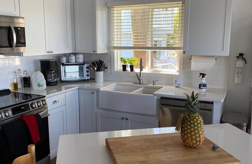 Henderson House | Spacious, sunny, open concept 3 bedroom lakefront house w/deck/private sandbeach