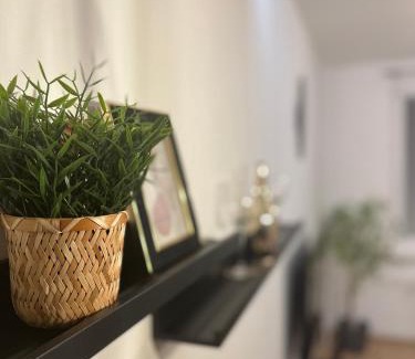 Hradec Kralove Apartment | Spaní na paletách kousek od centra Hradce Králové