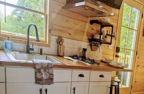 Pickens House | Sparrow Hawk Nest- Luxury Mountain View Tiny Home!