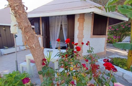 Minia Apartment | Spasmata Village Marios bungalows