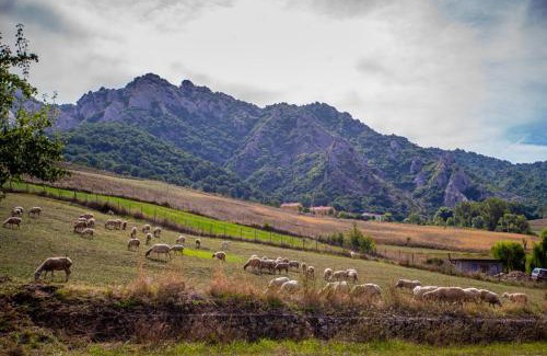 Castelmezzano Bed & Breakfast | Spazio Natura