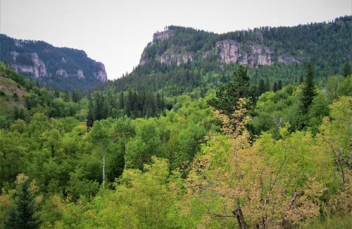 Savoy Hotel | Spearfish Canyon Lodge