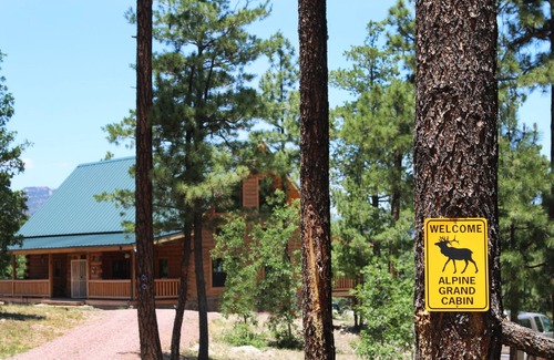 Alpine Cabin | Spectacular 6 bedroom cabin surrounded by pines and meadow views in Alpine, Az