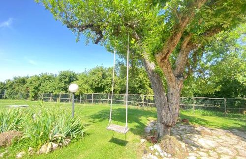 Vignanello Villa | Splendida villa con piscina