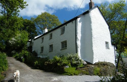 Probus Bed & Breakfast | Spring Cottage B&B