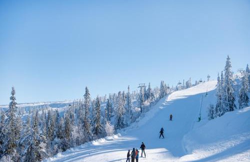 Stoten Apartment | Stöten Mitt Lägenheter