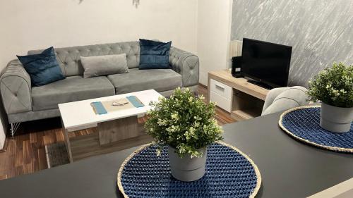 Bele Vode Apartment | Stan ARS