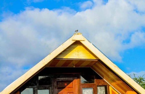 Amboseli Cabin | Standard Single Room with Shower