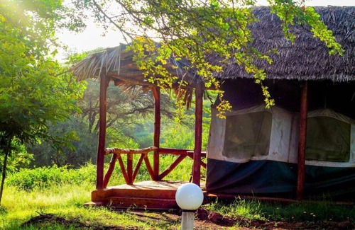 Amboseli Cabin | Standard Single Room with Shower