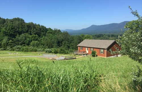 Rileyville Cabin | Star view cabin-Riverfront