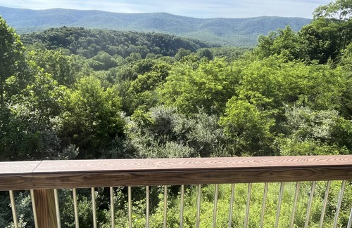 Rileyville Cabin | Star view cabin-Riverfront
