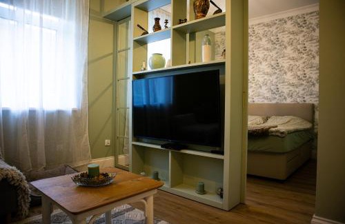 Gostycyn Villa | Stara Szkola - Wielki Medromierz 59