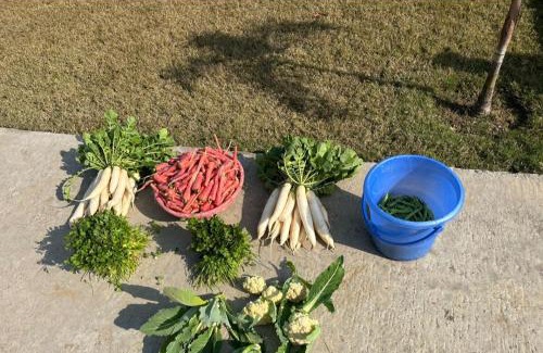 Bulandshahr Villa | Stay at farm