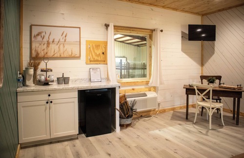 New Boston Apartment | Stay in Luxury-Feed Giraffes from directly from your Suite & enjoy the view. n