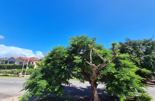 Sommerschield House | Stay Inn - Guest House