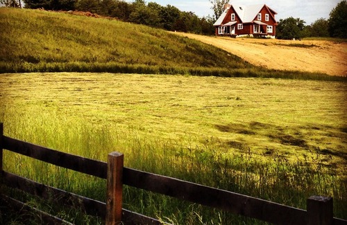 Ridge House | Stay on Working Farm in Central VA Wine Region, 35 Minutes from UVA.