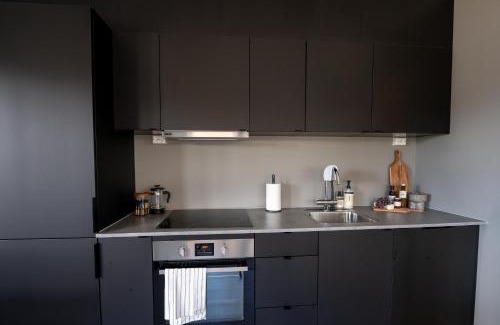 Tromso Apartment | Steam Apartments - Eidhøgda 6
