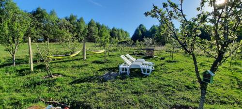 Feleacu Villa | Stefana's Tiny House Nature Retreat