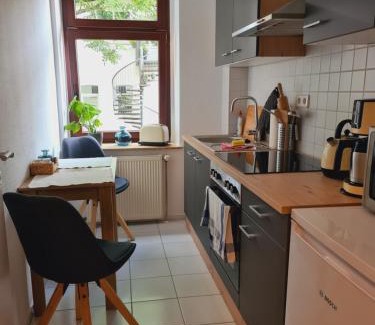 Giebichenstein Apartment | Stilvolles City-Apartment