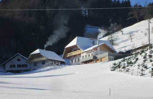 Oberharmersbach Apartment | Stinneshof