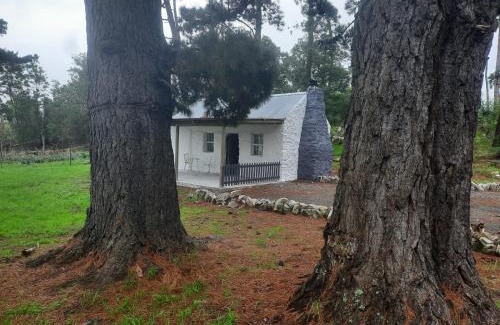 Elgin Apartment | Stone Cottage