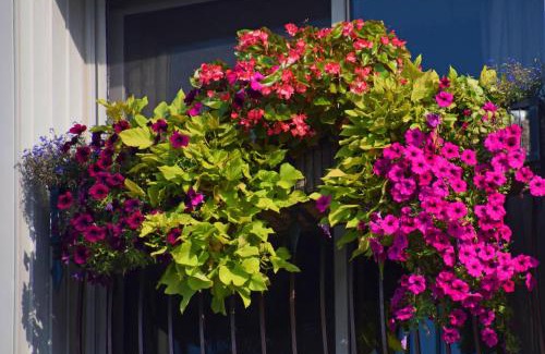 Orillia Hotel | Stone Gate Inn