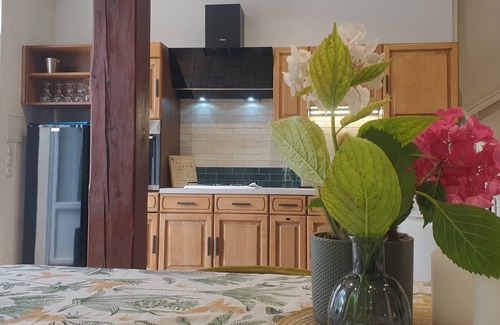 Camblanes-et-Meynac House | Stone house near Bordeaux. Cycling and hiking trails nearby.