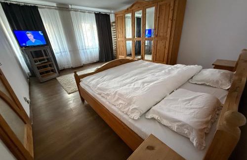 Craiova Apartment | Studio 1 Mai Sara