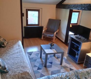 Aixe-sur-Vienne Apartment | studio 4 personnes