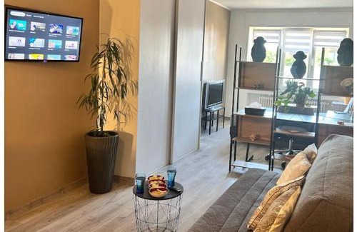 Basse-Ham Apartment | Studio 40m2 Quartier Résidentiel à 7mn Thionville et proche CNPE