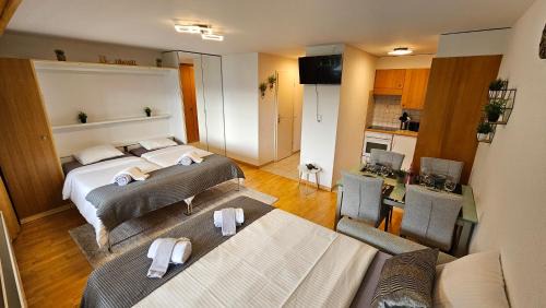 Ovronnaz Apartment | Studio 4103 Les Sources aux Bains d'Ovronnaz