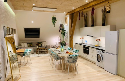 Daniken House | Studio Alte Scheune, Garage, Küche GS & WM, WLAN, Nespresso, Haustierfreundlich
