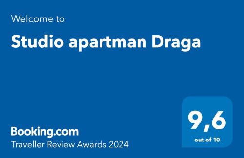 Velika Liduna Apartment | Studio apartman Draga
