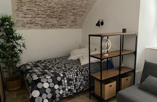 Cahors Old Town Apartment | Studio avec une belle voûte en pierre