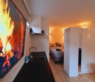 Baarn House | Studio Baarn with patio, airco, pantry, bedroom, bathroom, privacy - Amsterdam, Utrecht