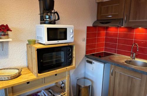 Auris Apartment | Studio cabine au pied des pistes, 3 couchages, parking - FR-1-297-326
