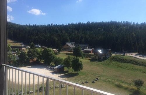 Correncon-en-Vercors Apartment | Studio Cabine 33m² – Pied des Pistes, Balcon Sud, Animaux Admis - FR-1-515-79