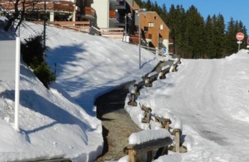 Le Pleynet Apartment | Studio cosy au pied des pistes, près des remontées et commerces - FR-1-557A-34